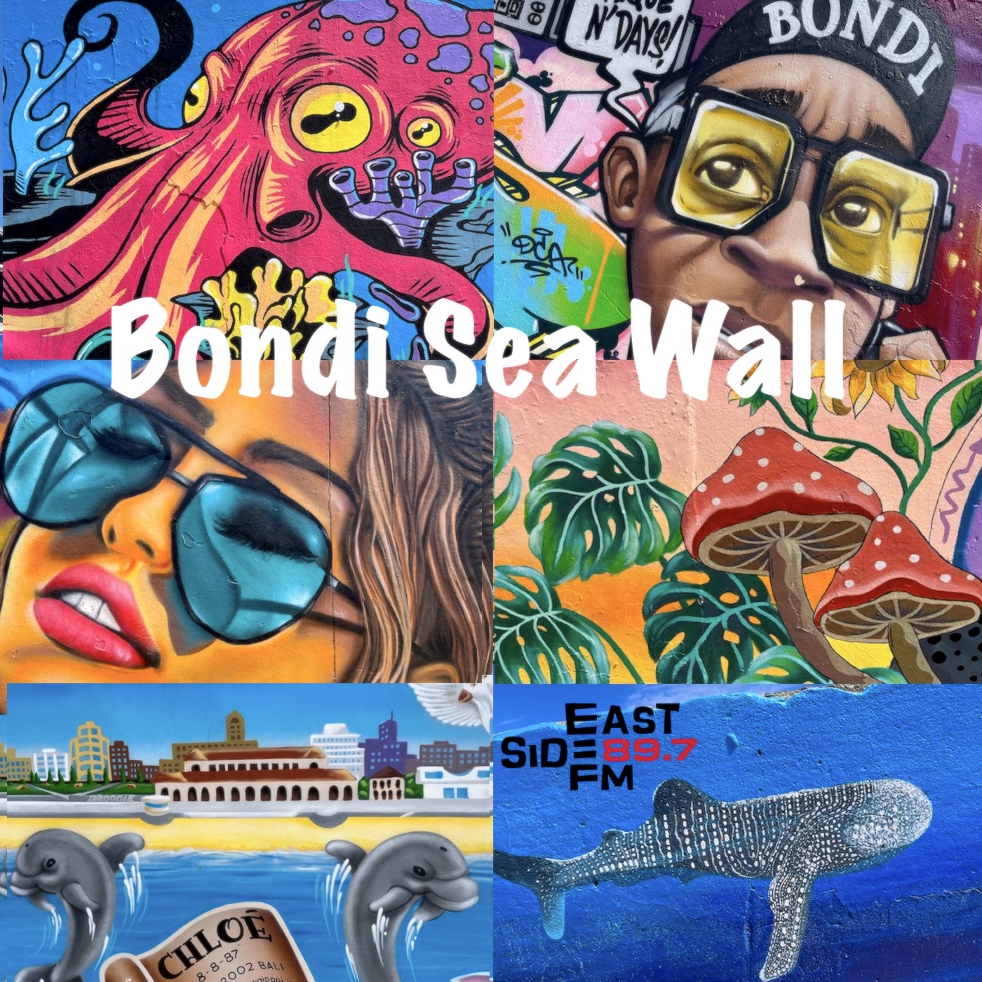 Bondi Sea Wall – Intro